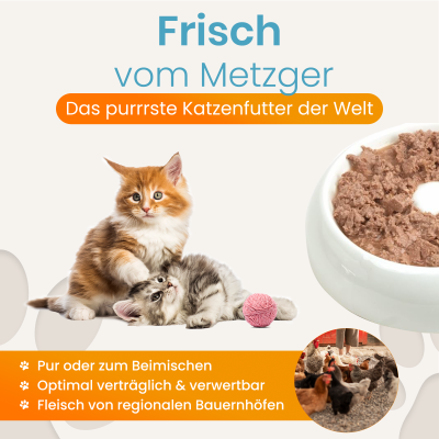 Thumbnail 4: Lucky-Kitty Katzenfutter Hühnerherzen Premium-Qualität 15 x 200 g