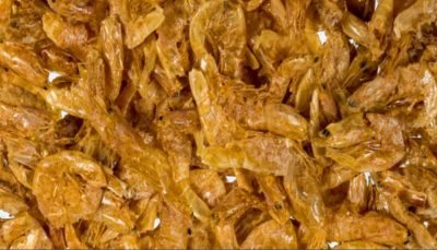 Kaureks Natur Hundeleckerlies Shrimps getrocknete Garnelen für Hunde und Katzen 2-4cm 100g