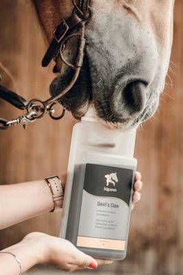 Thumbnail 2: Equanis Devil´s Claw – Teufelskralle Pferd