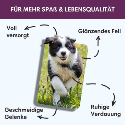 Thumbnail 2: Sollis 400 g / 6er-Pack