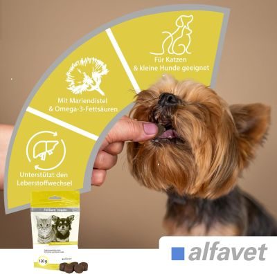 Thumbnail 2: alfavet FeliGum Hepato 120 g