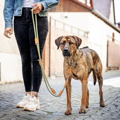 Thumbnail 3: Rudelkönig Hundeleine Emma 2,25m mit Leder, Elegante Führleine für große Hunde