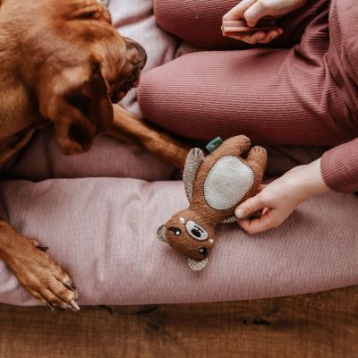 Thumbnail 2: HUNTER Hundespielzeug Fyn Bär 20 cm