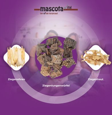 Thumbnail 5: mascota vital Lungenwürfel von der Ziege, Hundeleckerli, 200 g