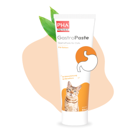 PHA PetVet - PHA GastroPaste für Katzen - 100 ml - Nahrungsergänzung - Futterergänzung