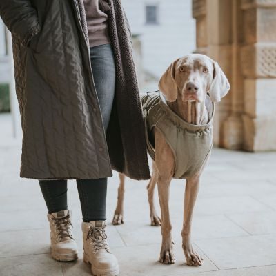 Thumbnail 14: HUNTER Hundemantel Uppsala Trend 45, khaki