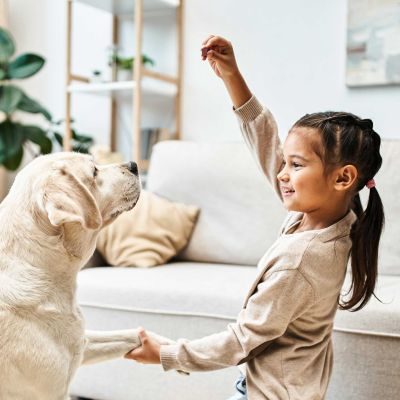 Thumbnail 4: Sollis Zarter Liebesbeweis - Lamm Fleischwürfel