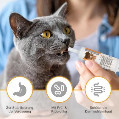 Thumbnail 3: alfavet DiaPaste PRO Prä- & Probiotika zur Stabilisierung der Verdauung – Leckere Paste mit Bentonit zur Unterstützung der Darmflora für Hunde und Katzen 60 ml Injektor