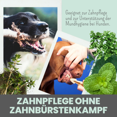 Thumbnail 4: Noms+ Dentalmix für Hunde zur Zahnpflege und für frischen Atem