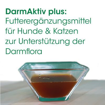 Thumbnail 3: cdVet DarmAktiv plus 100 ml – Natürliche Ergänzung zur Unterstützung einer ausgewogenen Darmflora