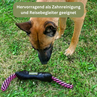 Thumbnail 4: Bettenhaus Traumhund® Traumhund® Kordelknochen