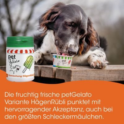 Thumbnail 2: petGelato HägenRübli 150 g – Die natürliche Eis-Alternative für Hunde, Katzen & Pferde