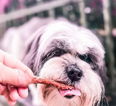 Thumbnail 1: kauartikel.com Enten-Sticks - Hunde-Kauartikel - Hunde-Snack - Kausnack - Leckerli von der Ente
