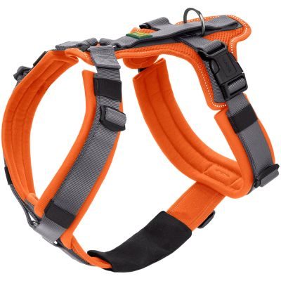 Thumbnail 6: HUNTER Sicherheitsgeschirr Maldon mit Griff M, orange/grau