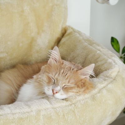 Thumbnail 5: SCHLITZOHR Heizungsliege Lucky (beige)