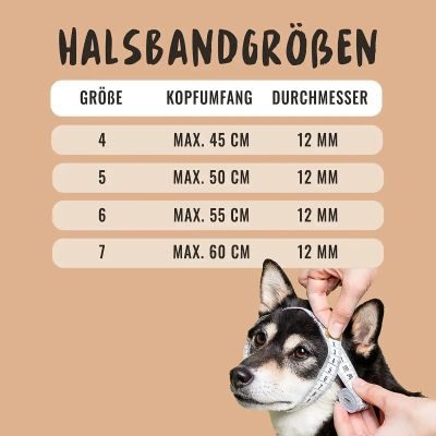 Thumbnail 4: Rudelkönig Hundehalsband Emma, Zugstopp Halsband, Robustes Hunde Halsband