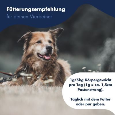 Thumbnail 6: Dr.Clauder´s Gelenk Paste 100g