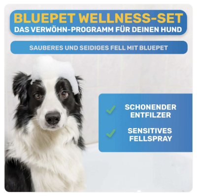 Thumbnail 2: BluePet Hunde Wellness-Pflege Sparset: Fellfein-Hundeshampoo sensitiv, Massage-Badestriegel und Fellpflege Spray für die beste Fellness für deinen Hund