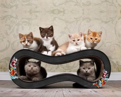 Thumbnail 2: cat-on SINGHA M Design Katzenmöbel, schwarz, Koi (035)