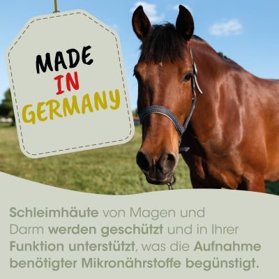 Thumbnail 4: cdVet EquiGreen HuminoMineral 8 kg – Mineralergänzungsfuttermittel mit HuminoMin-Komplex® für Pferde