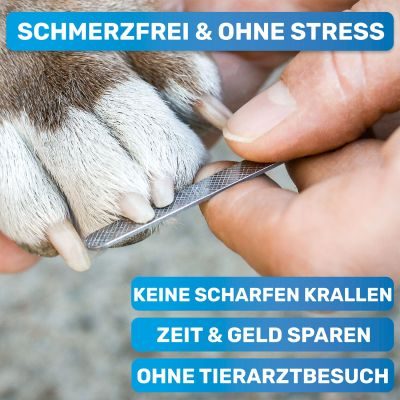 Thumbnail 7: BluePet Krallenschere mit Schutzplatte für kleine & große Hunde & Katzen I Einsteigerfreundlich I Krallenzange auch für Anfänger