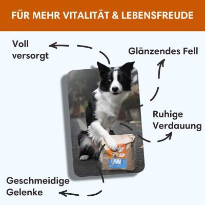 Thumbnail 7: Sollis Hundetrockenfutter mit Lamm, für kleine Hunde, 2 kg