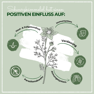 Thumbnail 5: LaPura PetVet - LaPura Bio-Schwarzkümmelöl für Hunde und Pferde - Nahrungsergänzung - Futterergänzung - BARF-Zusatz