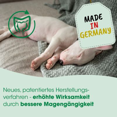 Thumbnail 4: cdVet DarmAktiv plus 500 ml – Natürliche Ergänzung zur Unterstützung einer ausgewogenen Darmflora