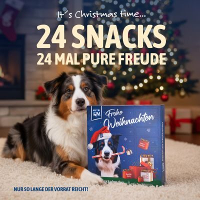 Thumbnail 3: NutriQM NutriQM Hunde Adventskalender