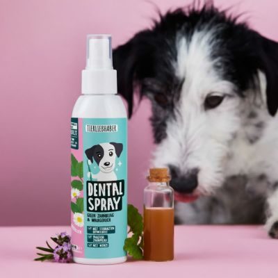 Tierliebhaber Dentalspray für Hunde - Gesunde Zähne & frischer Atem. Mit probiotischen Mikroorganismen gegen Zahnsteinbildung