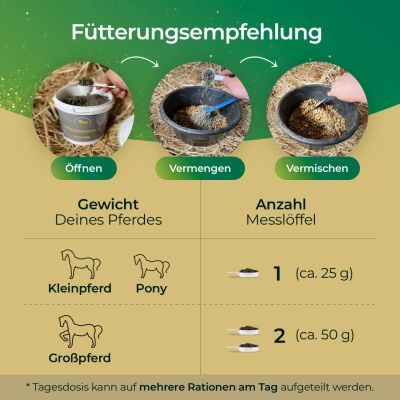 Thumbnail 5: Pferdegold Elektrolyte Eimer 1.5kg