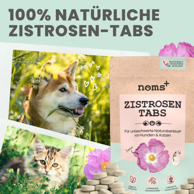 Thumbnail 4: Noms+ Zistrosen Tabs - 100% natürliches Zistrosen-Leckerli für Wald- & Wiesenspaziergänge