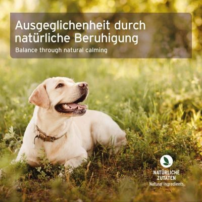 Thumbnail 6: AniForte Bachblüten Rivalität