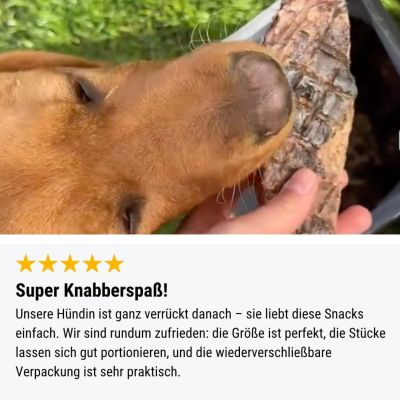 Thumbnail 6: Tales & Tails PferdAbredung zum Rumlungern 5er Paket