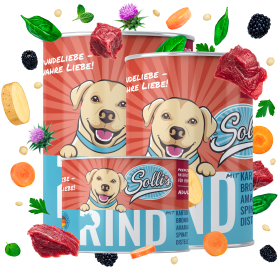 Sollis Nassfutter für Hunde | Ohne Getreide & Zucker | Rind 6x800g