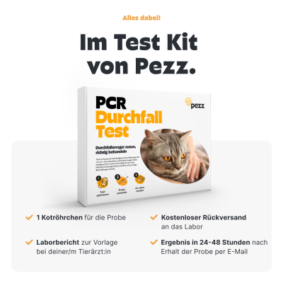 Thumbnail 3: Pezz Katzen Durchfalltest | Durchfallerreger testen, richtig behandeln