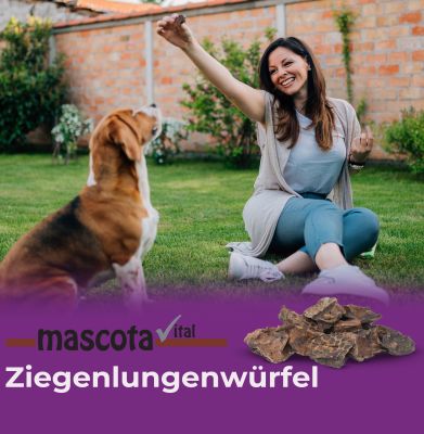 Thumbnail 4: mascota vital Lungenwürfel von der Ziege, Hundeleckerli, 200 g