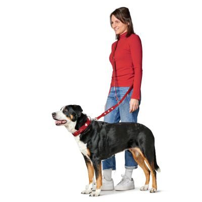 Thumbnail 15: HUNTER Halsband Swiss XL (75), rot/schwarz