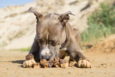 Thumbnail 2: mascota vital Lungenwürfel vom Hirsch, Hundeleckerli, 200 g