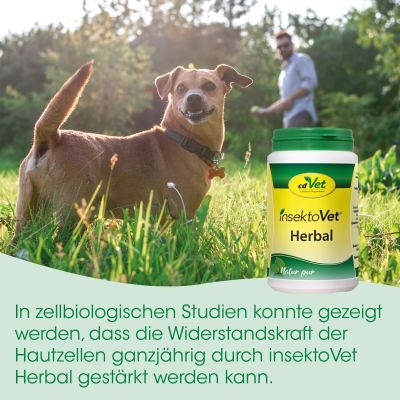 Thumbnail 3: insektoVet® Herbal 750 g – Ergänzungsfuttermittel für Hunde mit Bierhefe und Kräutern
