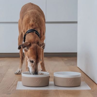 Thumbnail 4: Rudelkönig RudelkönigFutternapf Keramiknapf handgefertigt, Hunde Futternapf, 900ml Hundenapf