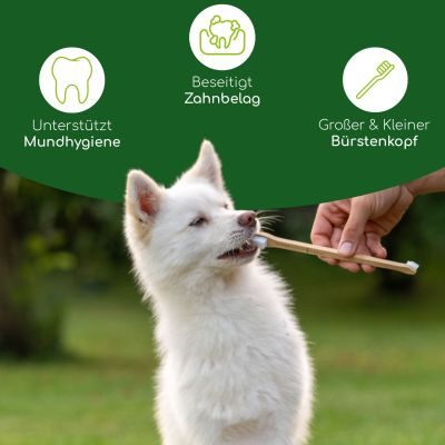 Thumbnail 5: Wolfsbacher Natur 2 Stück