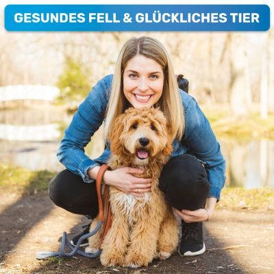 Thumbnail 4: BluePet Fellentwirrer Striegel für Langhaar Hunde & Katzen, zwei Reihen feste Pins - Entfilzungskamm, Unterwollrechen: glättet & entwirrt langes Fell & Knoten