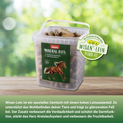 Thumbnail 3: PANTO PANTO Mineral Bits 16mm