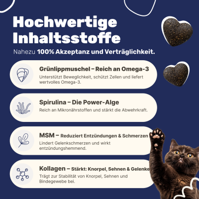 Thumbnail 5: Patsli Nahrungsergänzung für Katzen mit Arthrose und eingeschränkter Beweglichkeit