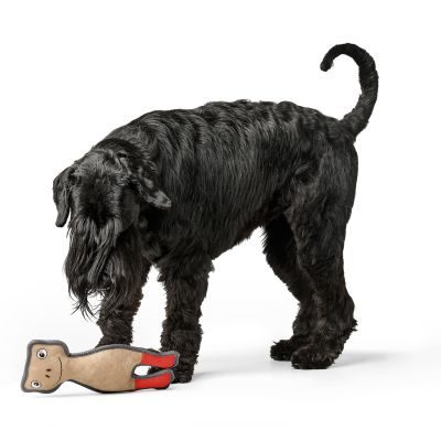 HUNTER Hundespielzeug Tough Pombas Frosch 33 cm