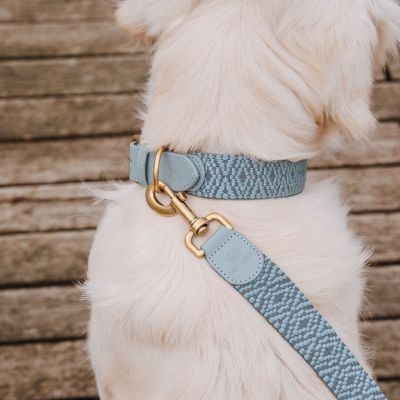 Thumbnail 5: Hey Lana Premium Hundehalsband Gepolstert Anthrazit / Eisblau / M/37-47