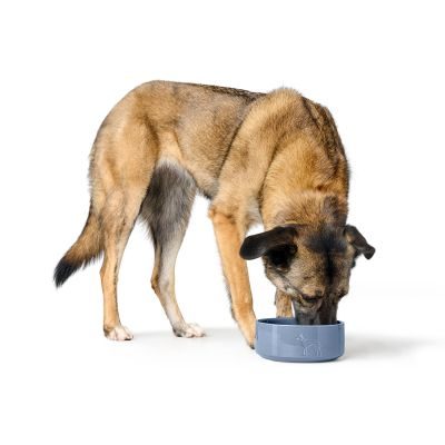 Thumbnail 1: HUNTER Keramik-Napf Osby Glazed 550 ml, taubenblau