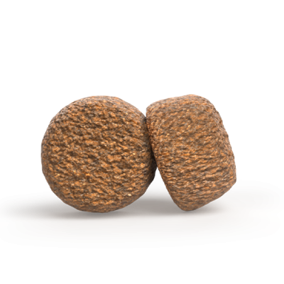 Thumbnail 2: Josera Senior Balance, fett- und eiweißreduziertes Trockenfutter für ältere Hunde, 3x3kg