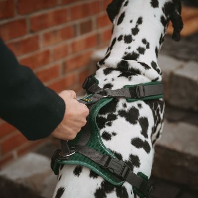 Thumbnail 10: HUNTER Geschirr Maldon Up mit Griff S-M, dunkelgrün/grau